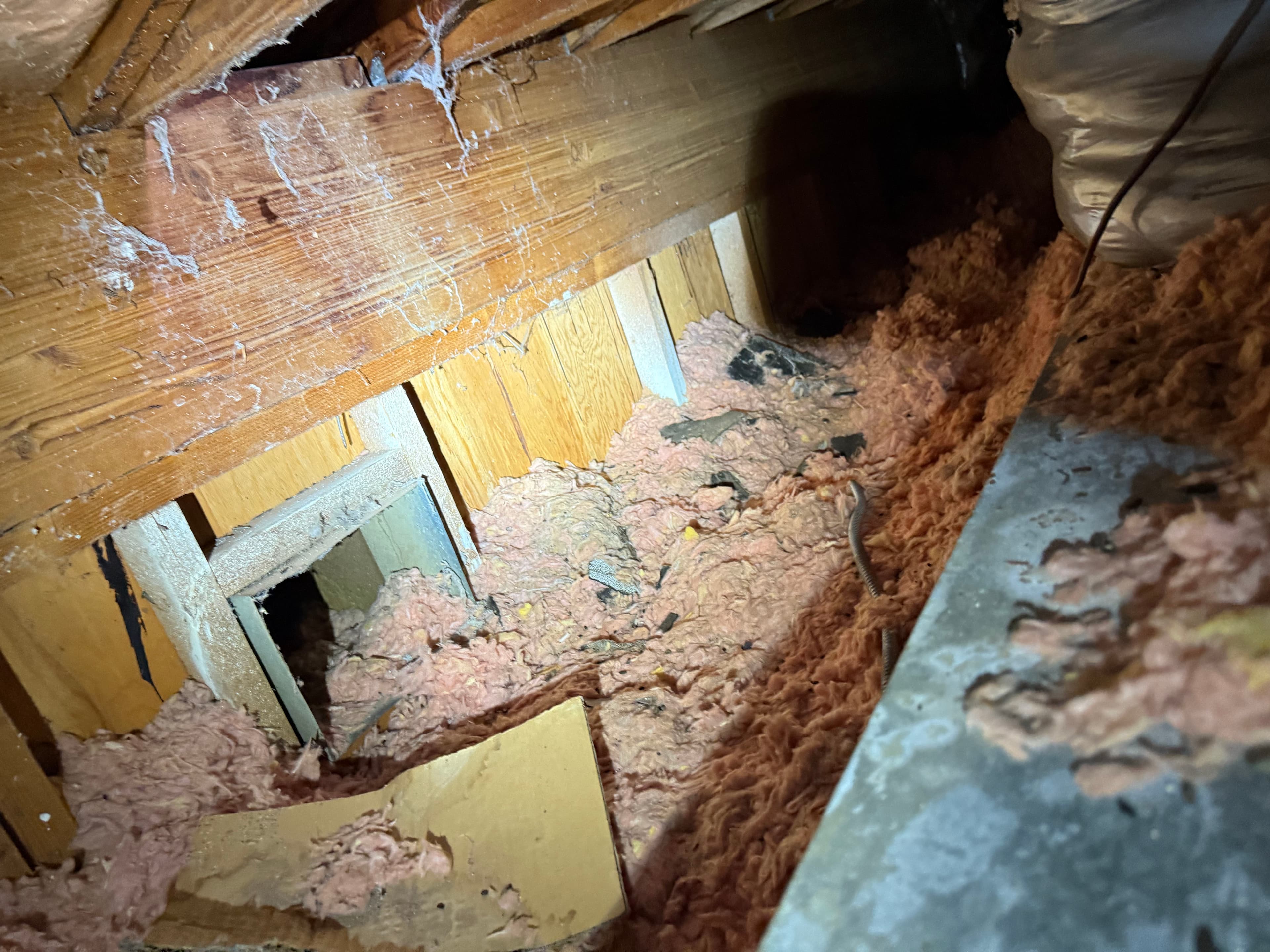 Project Pre-duct Removal and Inspection for Future Ductwork Installation image
