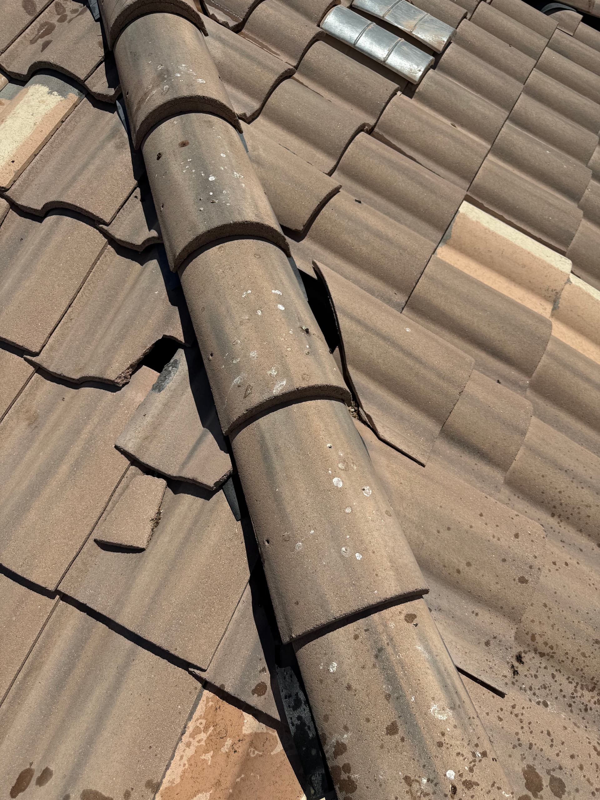 Gallery photos for Solar Panel Service That Caught Serious Roof Damage Early: Image #1